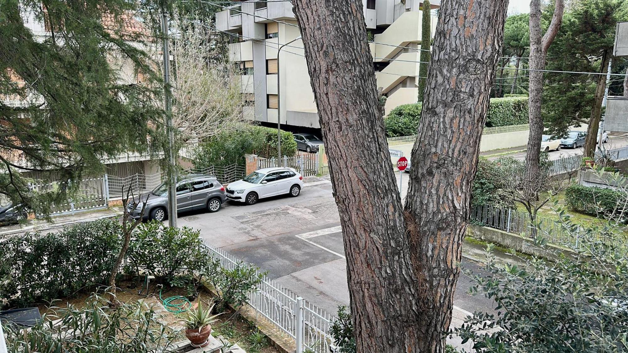 Appartamenti Villa Renata Ριτσόνε Εξωτερικό φωτογραφία